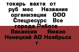 токарь. вахта. от 50 000 руб./мес. › Название организации ­ ООО Спецресурс - Все города Работа » Вакансии   . Ямало-Ненецкий АО,Ноябрьск г.